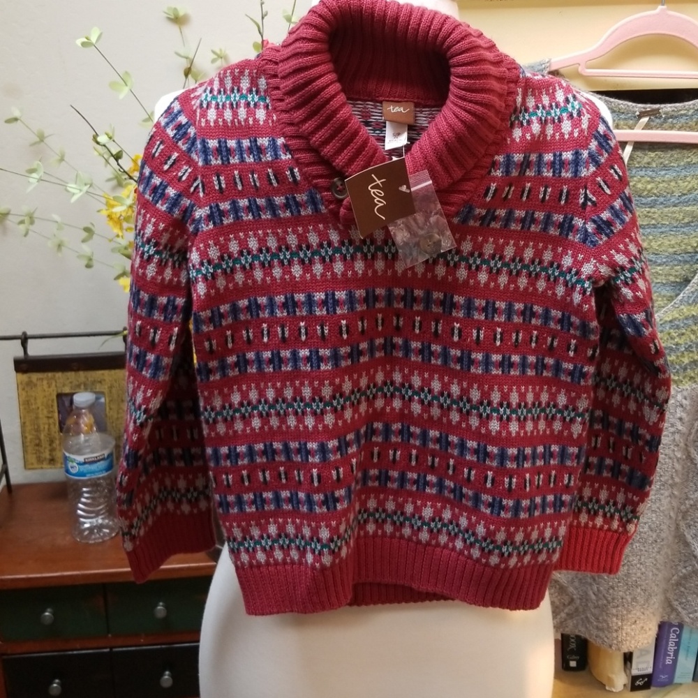 Tea Collection Dress Sweater - HOST PICK!